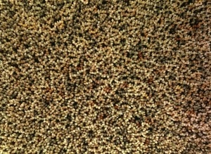 figurines-holding-up-glass-floor