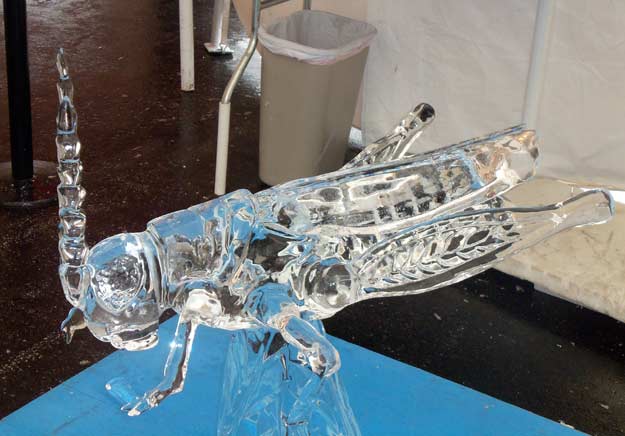 Iceman Creates Seriously Cool Ice Sculptures