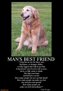 Dog-Loyalty-Best-Friend