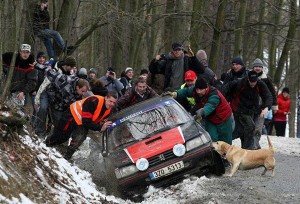 Dog-Loyalty-Best-Friend