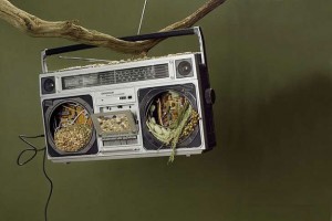 Recycled-Objects-Bird-Houses