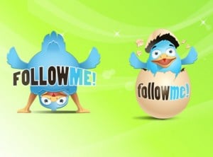 Twitter-Bird-Image-Follow-Back
