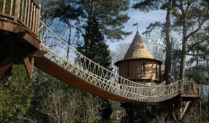 inspiring-ecofriendly-treehouse-castle