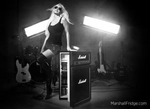 marshall-beer-speaker-fridge