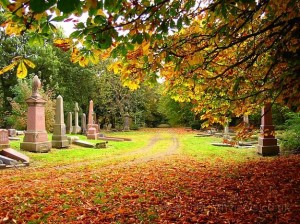 peaceful final resting place