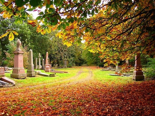 Prepare For Your Death By Creating A Digital Tombstone