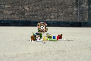 Bug-Memorial-Funeral-Project