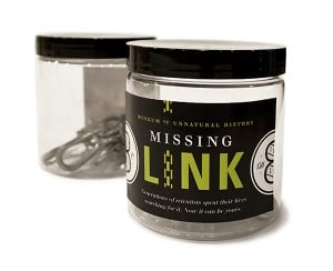 Fake-Fantasy-Animal-Creations