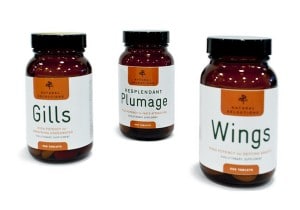 Fake-Fantasy-Animal-Creations