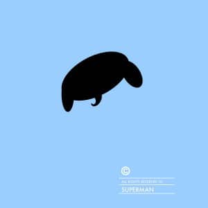 Famous-Iconic-Haircuts-Superman-2