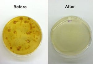 PhoneSoap-Smartphone-Sanitizer-Charger