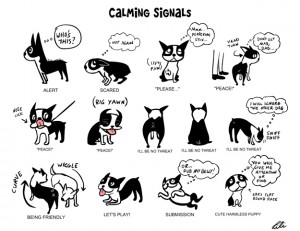 Understand-Dog-Language-Chart