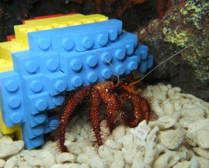hermit-crab-lego-house