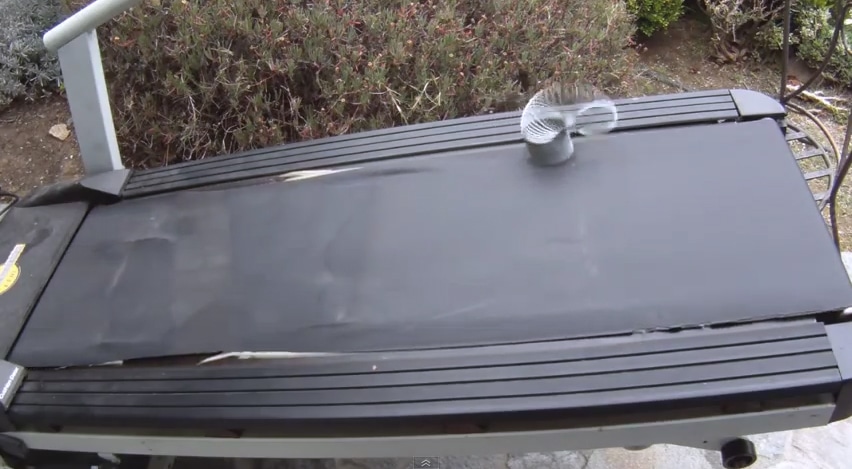 The World’s Most Determined Slinky The World’s Most Determined Slinky