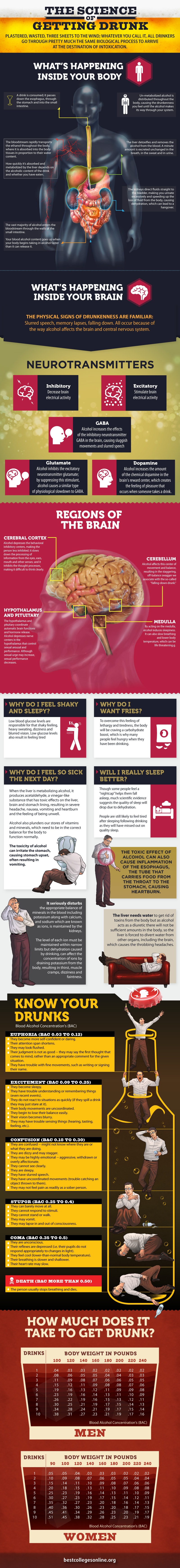 The Science Of Getting Drunk [Infographic]