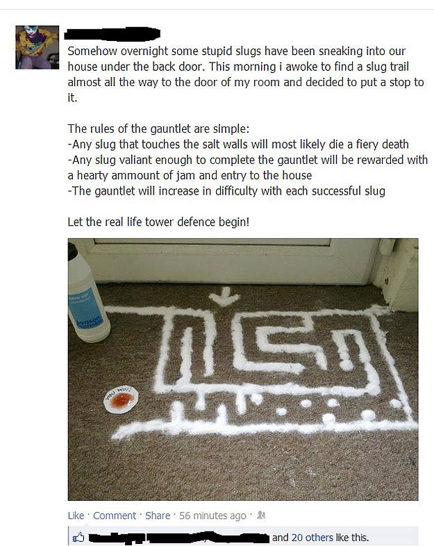 Gauntlet Of Doom: Most Creative Way To Get Rid Of Bugs