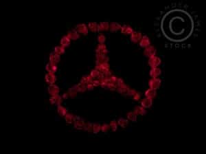 Famous Logos Redesigned With Red Roses | Bit Rebels