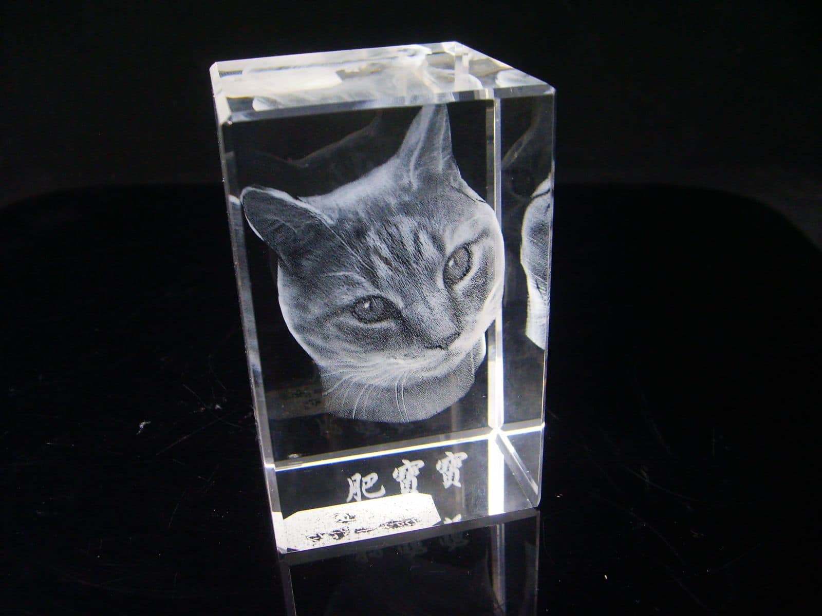 3D Crystal Engraving Puts 3D Photographs On Your Bookshelf