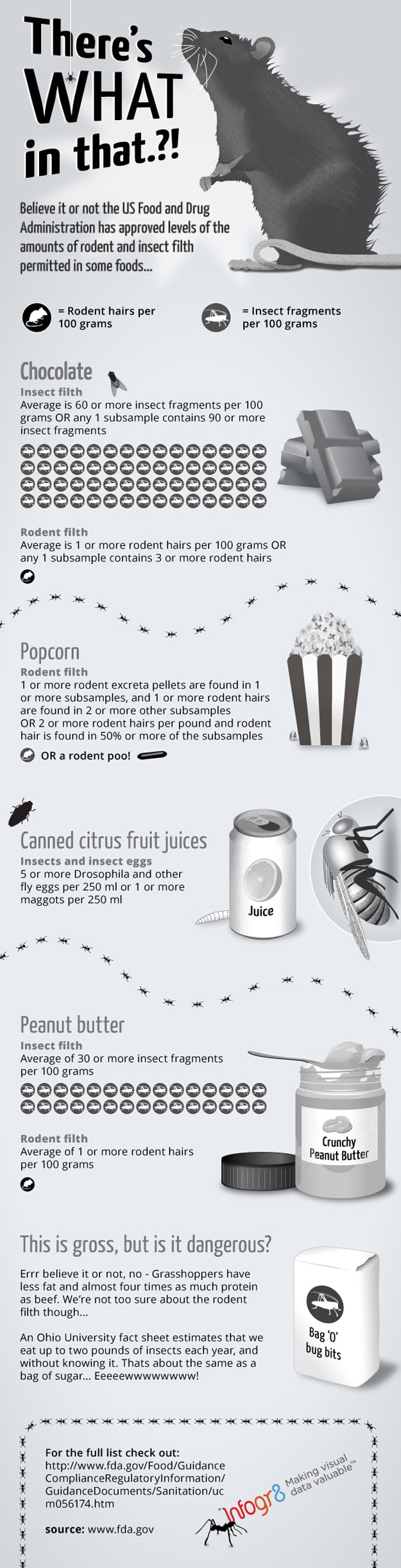Rodent & Insect Filth: What Is Really In Food [Infographic]
