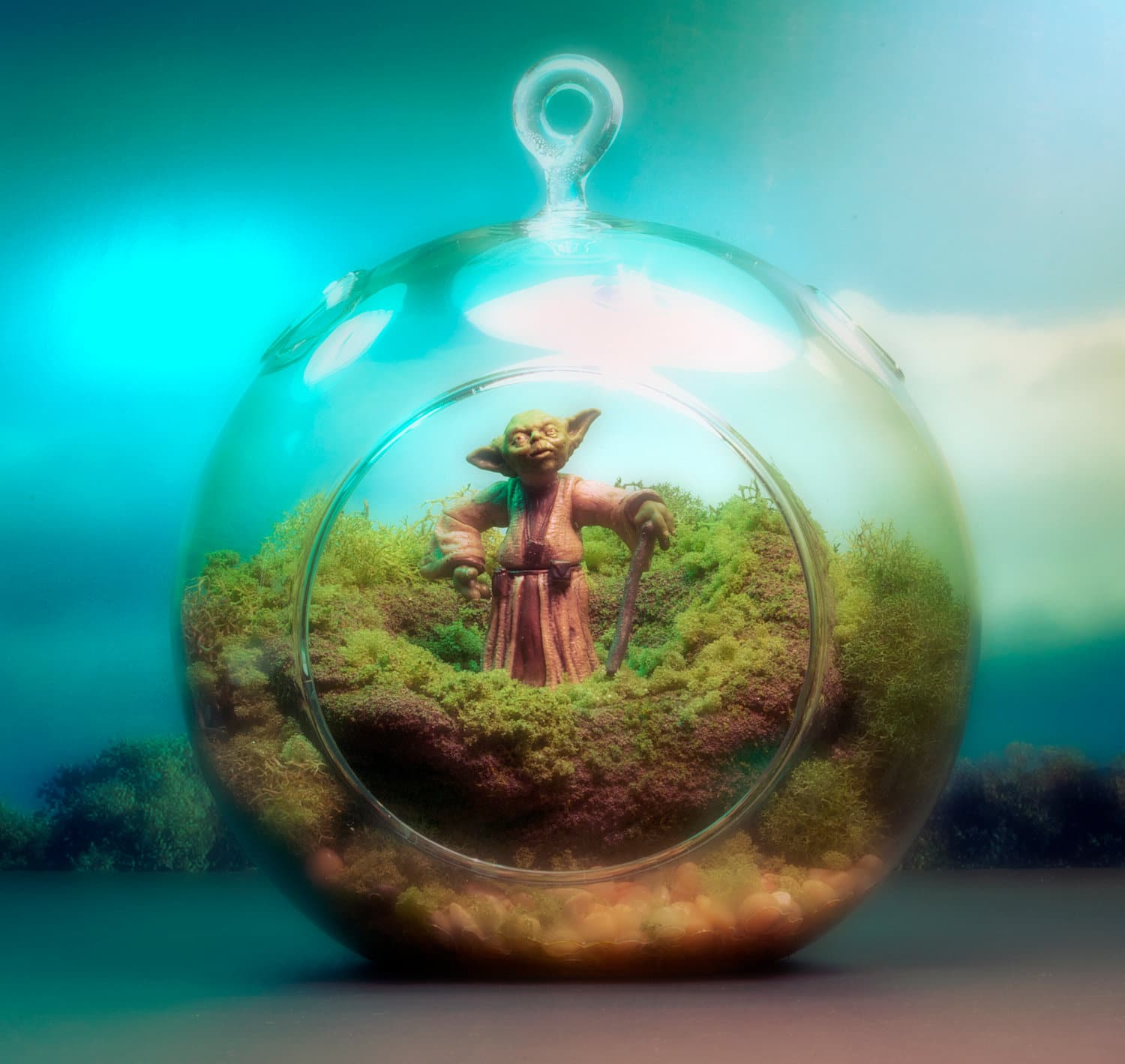 Star Wars Worlds Bundled In Miniature Terrariums