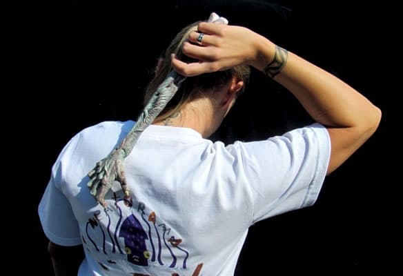 Back Scratcher Goes Gory With The Dismembered Zombie Arm Back Scratcher Goes Gory With The Dismembered Zombie Arm