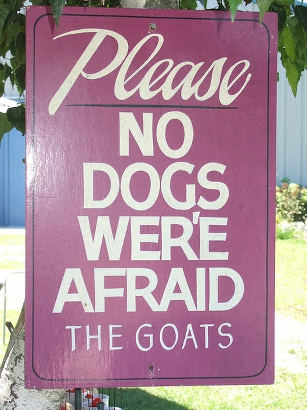 Funny Grammar Mistakes On Signs In America [20 Pics]