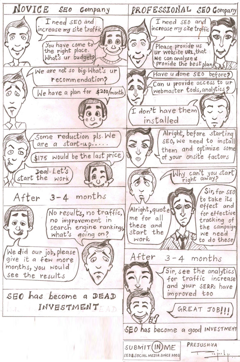 Choose Wisely: Professional vs. Novice SEO Company [Infographic]