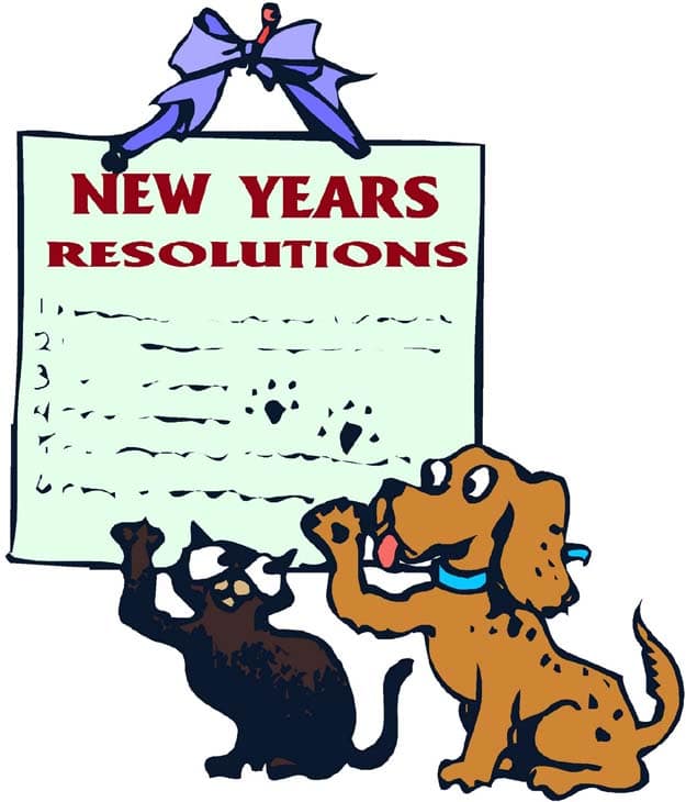 How To: Keep Your New Year’s Resolutions