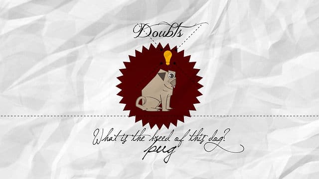 Pergunter: Image Questions Let Followers Answer Your Questions Pergunter: Image Questions Let Followers Answer Your Questions