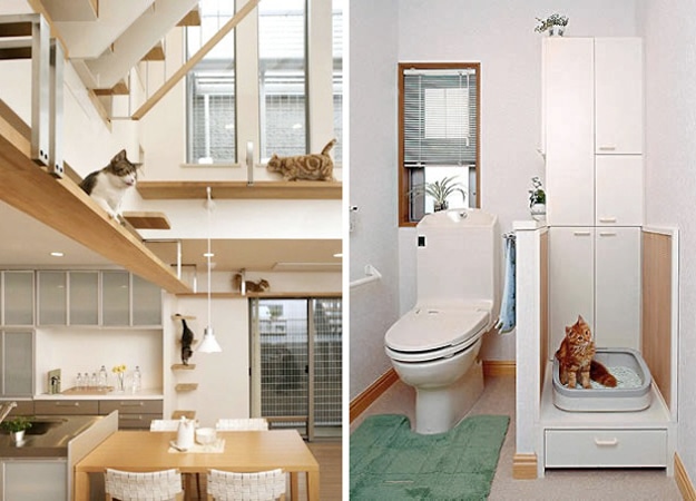 Feline Architecture: This Is Your Cat’s Dream Home