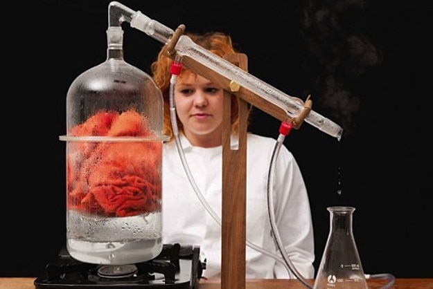 Capturing & Bottling Your Favorite Scents For A Nostalgic Sniff Later