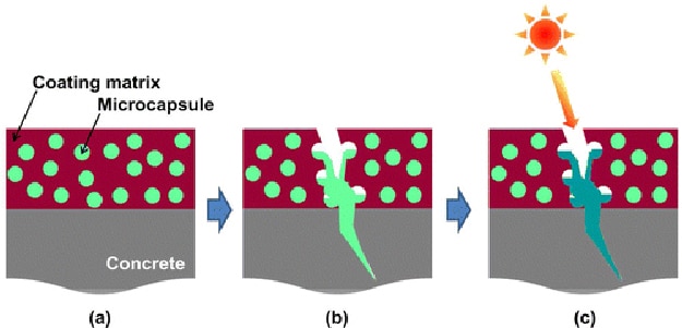 Self-Fixing Concrete Cracks That Repair Themselves With Sunlight Self-Fixing Concrete Cracks That Repair Themselves With Sunlight