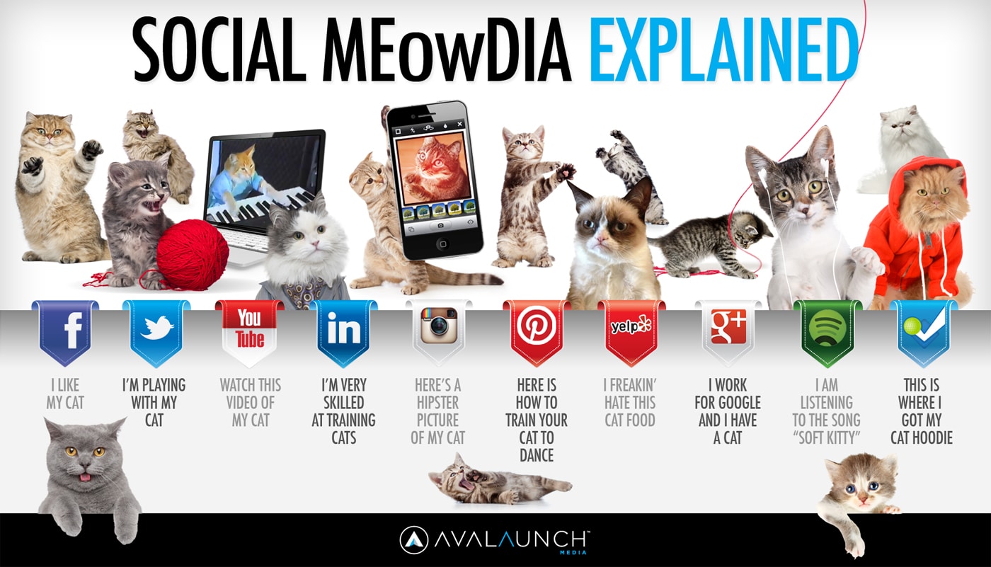 Social Media Sites Explained With Adorable Kittens [Infographic]