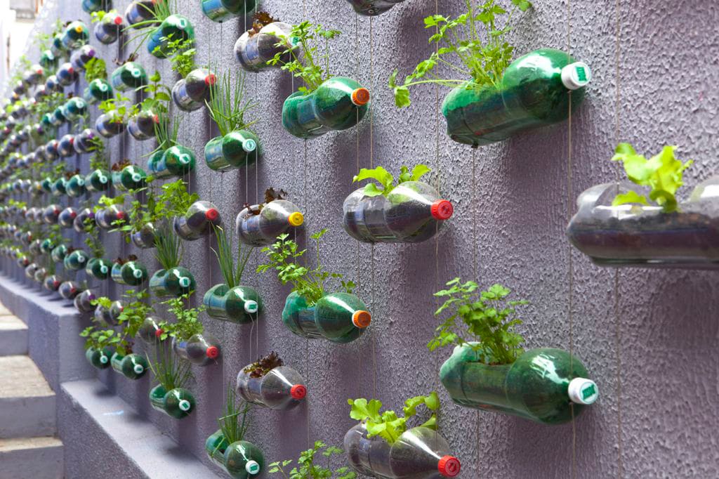 Spunky Urban Wall Garden Created From Recycled Plastic Soda Bottles Spunky Urban Wall Garden Created From Recycled Plastic Soda Bottles
