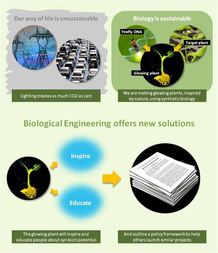 Glowing Plants Set To Replace Our Currently Inefficient Light Sources Glowing Plants Set To Replace Our Currently Inefficient Light Sources
