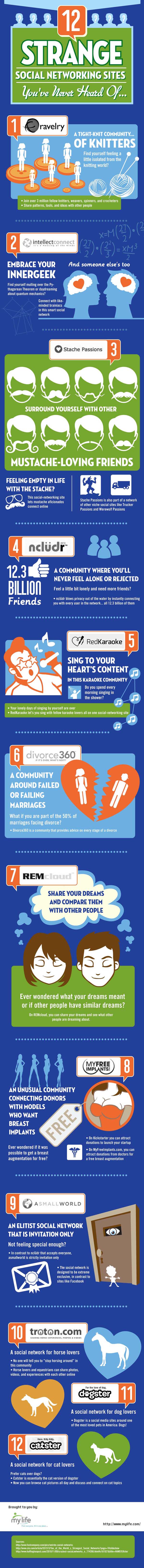 12 Strange But Popular Social Networking Sites [Infographic]