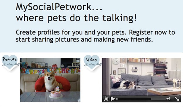 MySocialPetwork: A Social Media Site That Is Like Facebook For Pets MySocialPetwork: A Social Media Site That Is Like Facebook For Pets