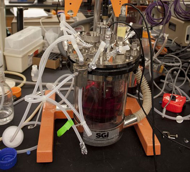 The Future Of Meat: Lab-Grown In A Bioreactor In Your Kitchen