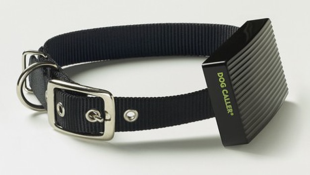 Dog Collar Messages Owner If Temperature In Car Is Dangerously Hot Dog Collar Messages Owner If Temperature In Car Is Dangerously Hot