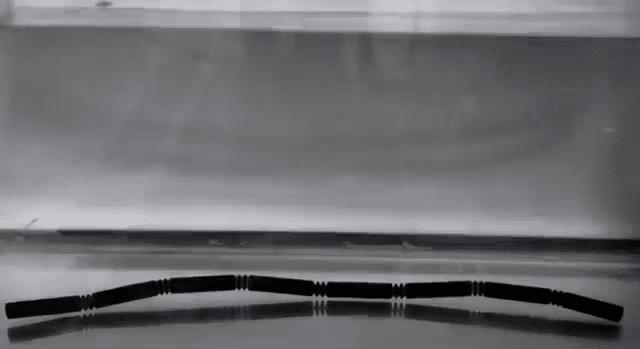 4D Printing: Objects Can Now Make Themselves 4D Printing: Objects Can Now Make Themselves