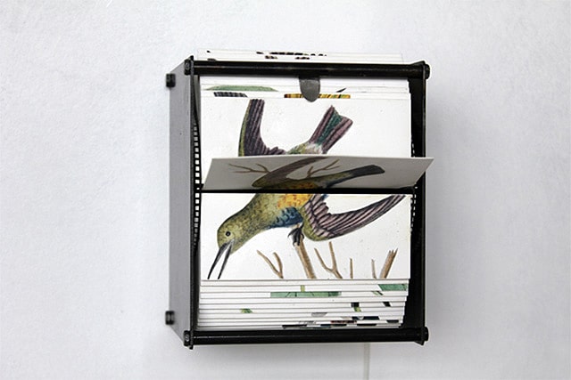 Incredible Motorized Flipbook Machines Made With Wild Bird Drawings Incredible Motorized Flipbook Machines Made With Wild Bird Drawings