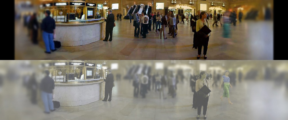 Cat Vision: How Your Cat Sees Those Instagram Pics And YouTube Videos