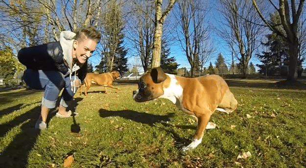 Duncan: The Two-Legged Dog That Conquered All Odds