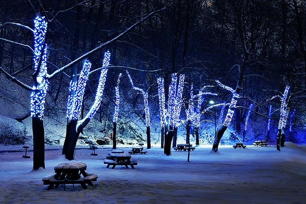 Why Festive Branding Packs Are The Right Choice For Christmas Why Festive Branding Packs Are The Right Choice For Christmas