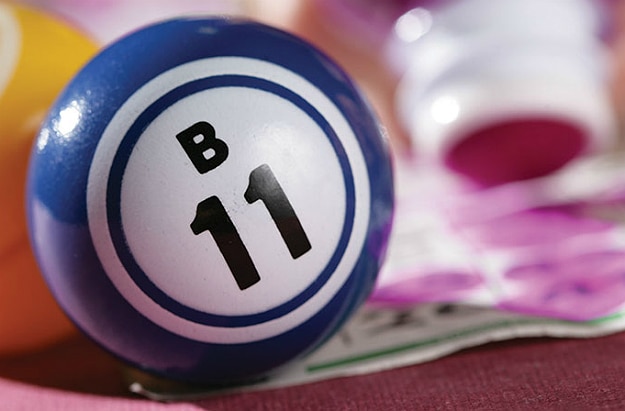 How Bingo Gained A Whole New Fanbase How Bingo Gained A Whole New Fanbase