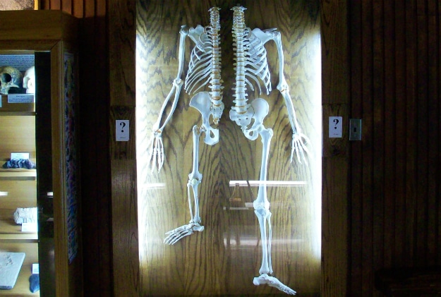 Chimpanzees Have A Better Short-Term Memory Than You Chimpanzees Have A Better Short-Term Memory Than You