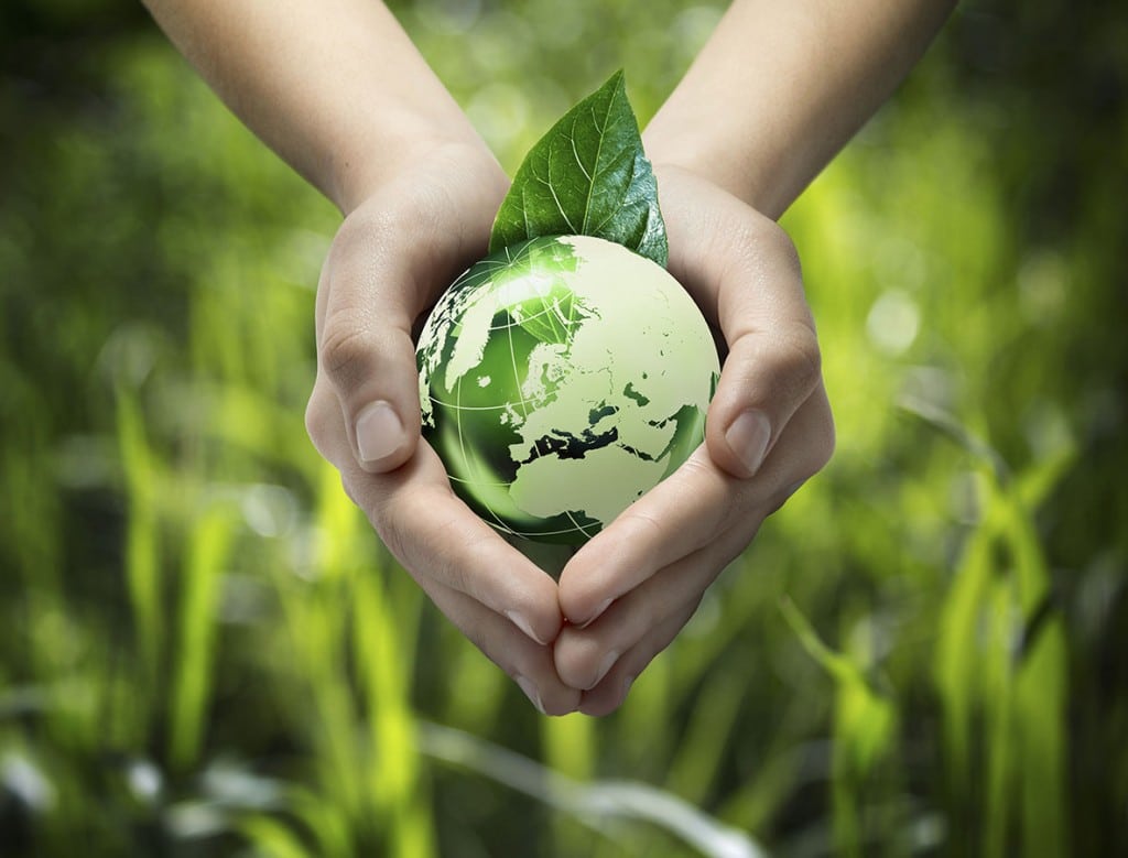 Five Ways To Create An Eco-Friendly Production Company