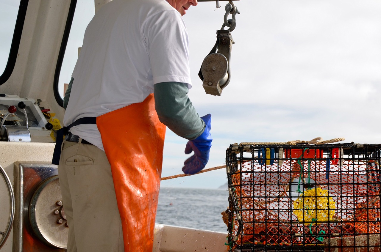 Everything You Ever Wanted To Know About Lobster Season Everything You Ever Wanted To Know About Lobster Season