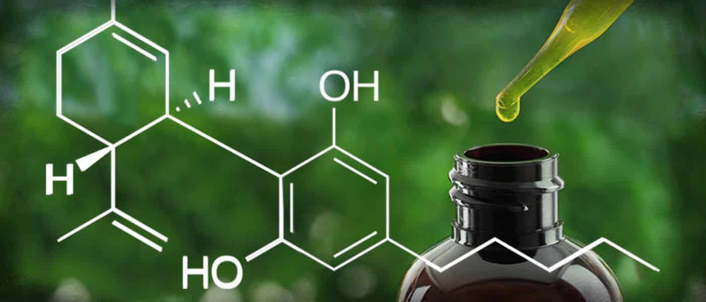CBD Oil – Is It Really Healthy? CBD Oil – Is It Really Healthy?