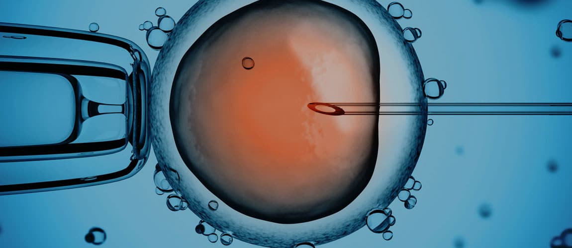 The Rise Of Reproductive Technology Amid Falling Fertility Rates